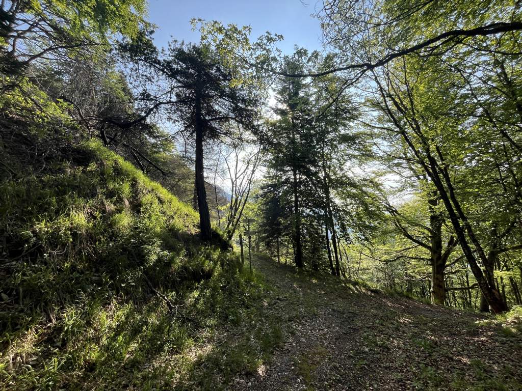 Bocca di Valle...Bondone (TN)